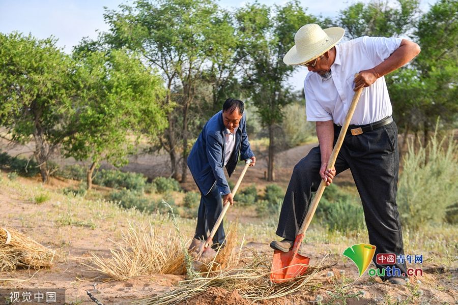 甘肃武威：当代愚公将沙漠变绿洲 六老汉三代治沙人共奋斗