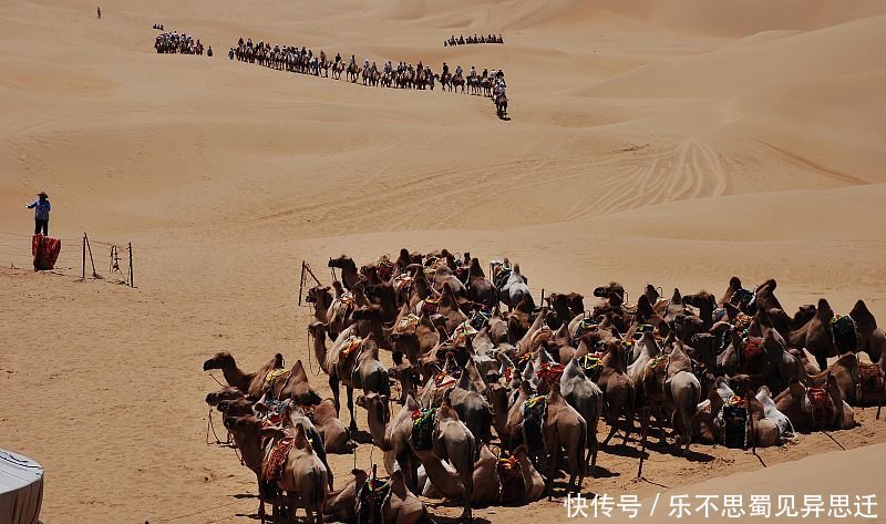  发生■将黄河水引入内蒙古沙漠，会发生啥想不到出现了奇迹！