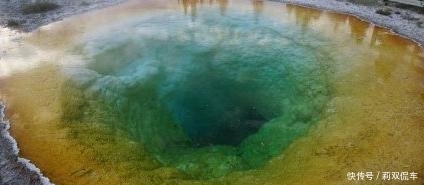 黄石公园珍稀的石化树,被游客一点点拿光,温泉被硬币堵塞!