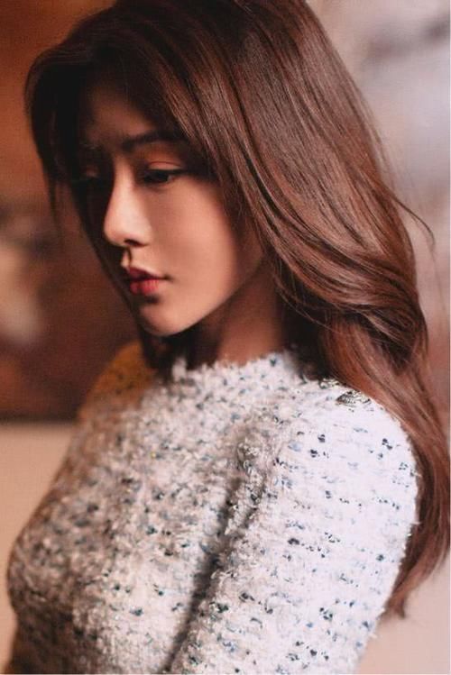 大明风华邓家佳演的角色