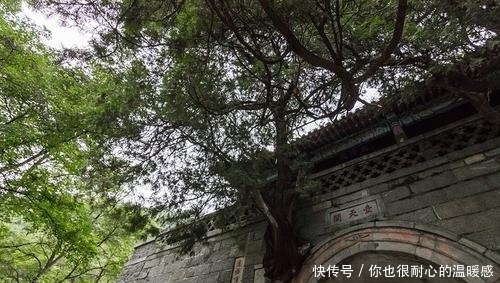 五岳之首的泰山，你知道有哪些景点吗，赶快来看一看吧