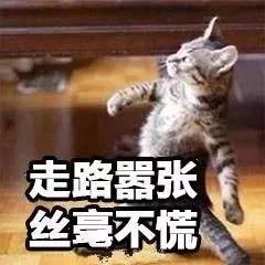 大雪又来了？阳光还要再等等，本周江苏天气很无奈……