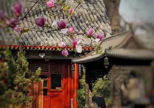 国内这些最纯净、最具佛性的寺庙,不收门票,值得一拜