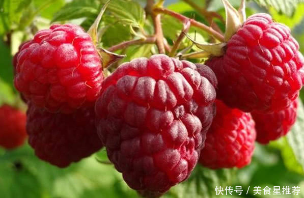 农村童年山上的这种野果子零食，看了真让人怀，你们有吃过没