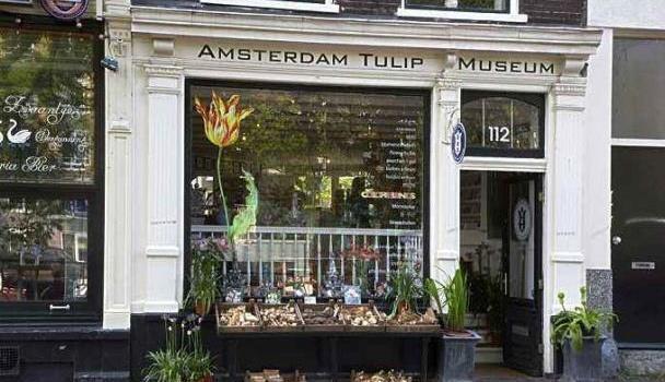 在郁金香盛放的国度，邂逅最美丽的春天