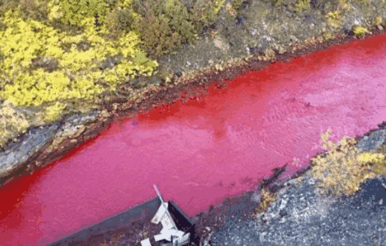 我国最诡异的河流, 一到雨天就变成“血河”周围全是毒蛇, 因一个