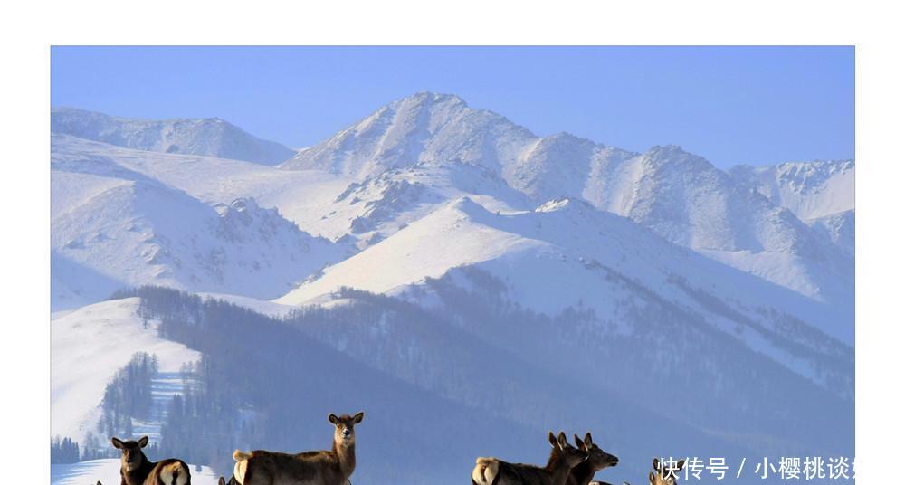  东天山@云游中国东天山人在画中行，处处皆风景
