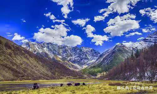 四川又一景区走红,比稻丁、九寨沟更美没有被完全开发