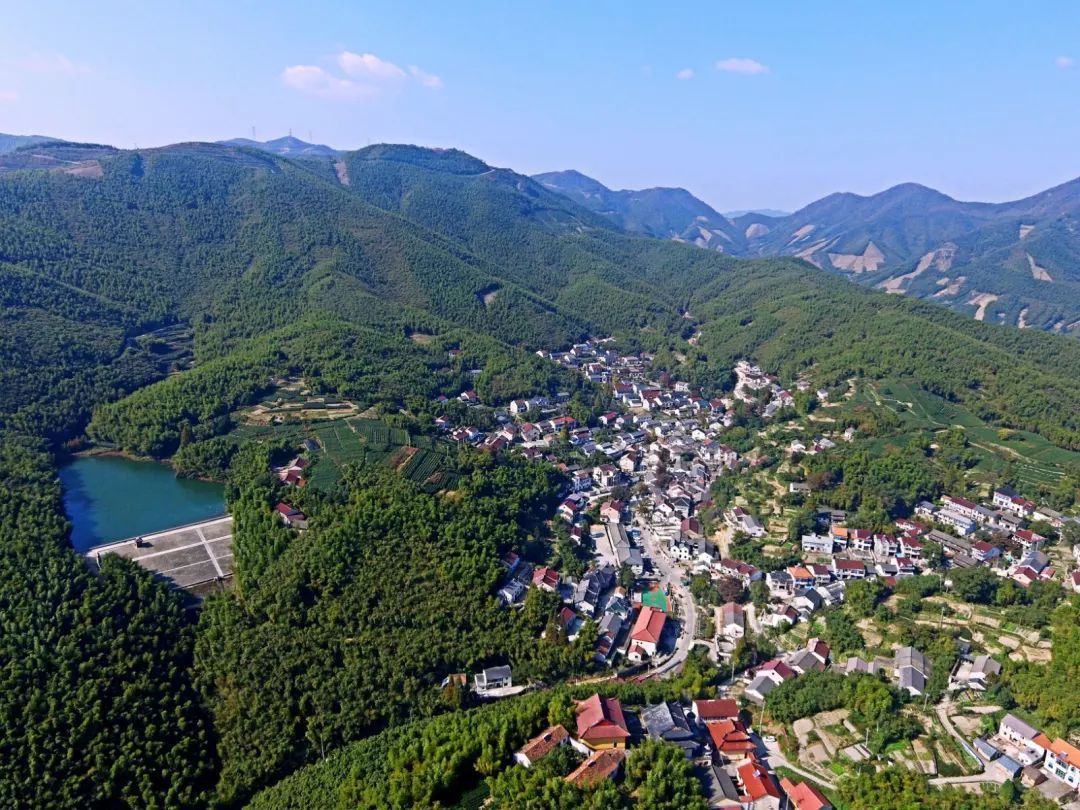 深圳发达的区域是南山区，那最为落后的是那里呢？