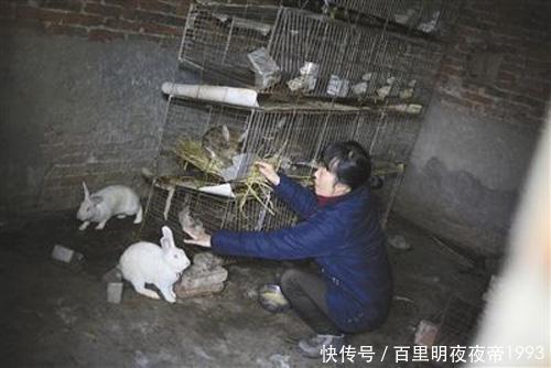  利润：农村10个利润较高的项目，或许有一个能成为你的出路