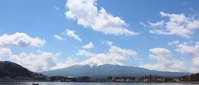 带着养了8年的柯基,她和狗狗一起做了世界上最浪漫的挑战……