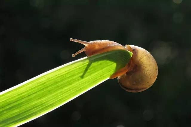 【摄影专区】单反参数设置小技巧，超级好用！