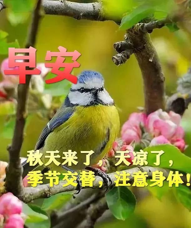  群发@群发清晨早上好问候祝福语，微信群冬天早安问候图片