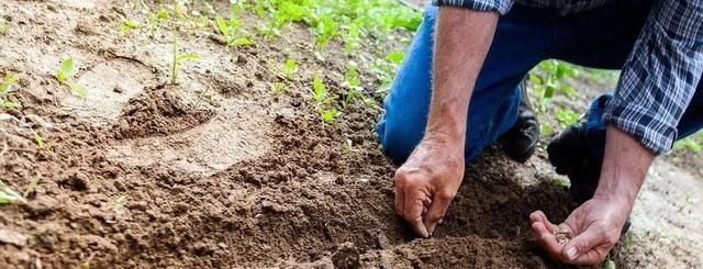  #补贴#2019粮食补贴标准出炉？两类人标准提高、三类农民不再有