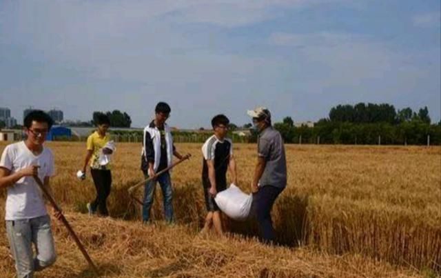  「适合」有这几种行为的不适合当“村干部”