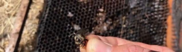  『世外桃源』豆瓣9.2，这「成人」的童话世界太疯狂