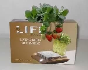 适合农村的创业点子，就看你敢不敢做