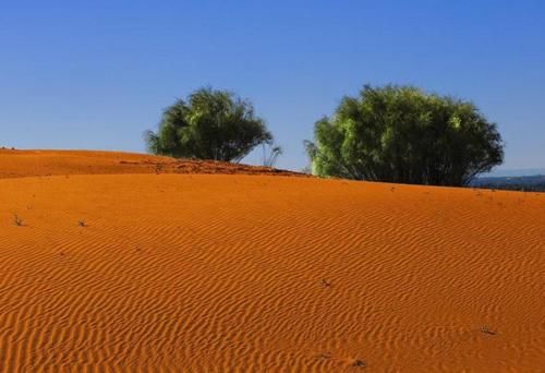 一个即将被“消灭”的沙漠，几乎变成了绿洲，还被种植马铃薯