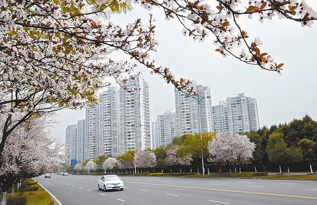  城市|成渝城市群城市名单