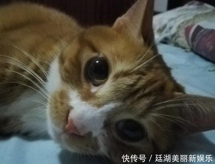 病毒感染会出现