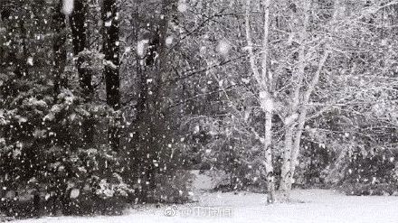 雨雪又来啦！局部暴雪，积雪最多可达8厘米！