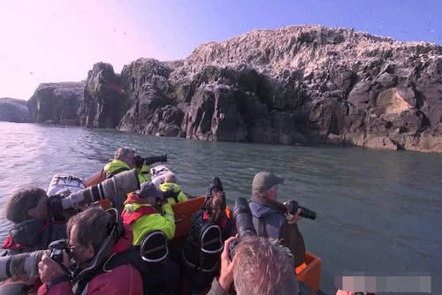 被鸟类霸占的岛屿，数量达到了7亿，每年都需整理2万吨鸟粪！