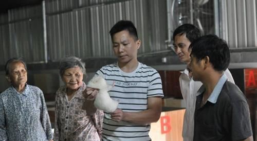  「养殖户」农村这种小动物容易饲养，职业赚钱，养殖户：门槛不