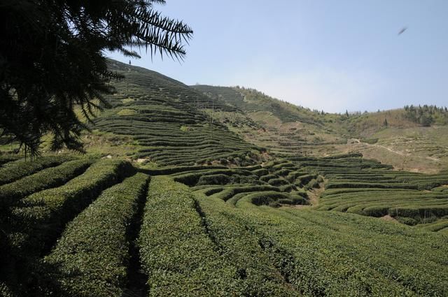 继返乡潮后，农村再出4大“怪象”，专家不理解，老农却道出原因