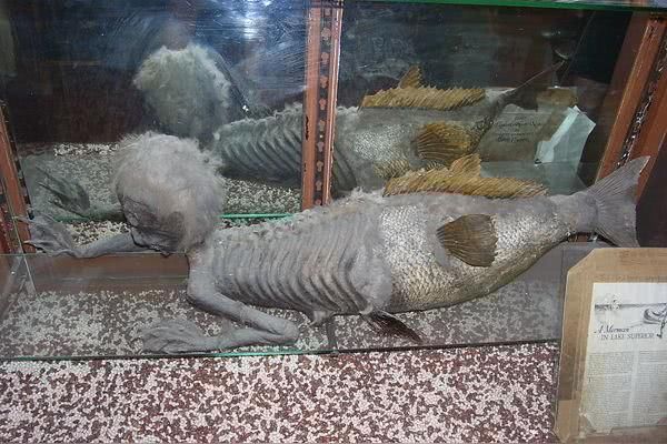 全世界最愚蠢的6个奇葩骗局，尽管都很不靠谱，但还是有人相信！