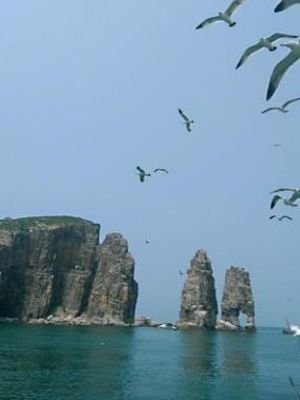 ofo发声明称遭自媒体恶意诽谤 所发消息是虚假信息