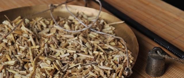  农户@不起眼的茅草根一斤卖到二十几元，为何不见农户种植？