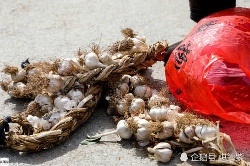  奶奶■农村大集关闭，80岁奶奶寒风中坐路边卖大蒜，一上午也没卖一头