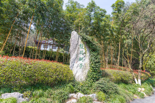 西湖最冷门的旅游路线，人少景美，一般人都不知道