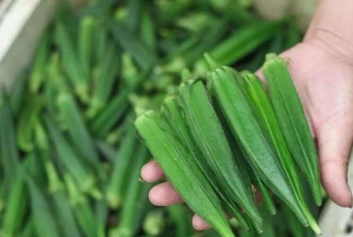  #我国#被誉为蔬菜王，刚引进我国就爆红，价格年年涨，为何农民