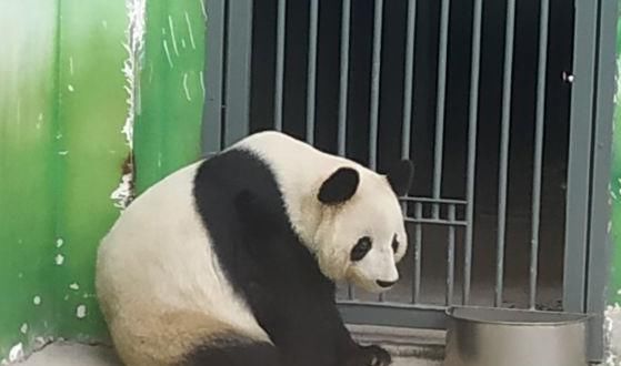 苏州最舒服的景点，心情放松之地，游客称百玩不腻！