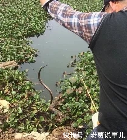  [通线]高手在民间，最新双铅通线单钩法，喜欢野钓别错过