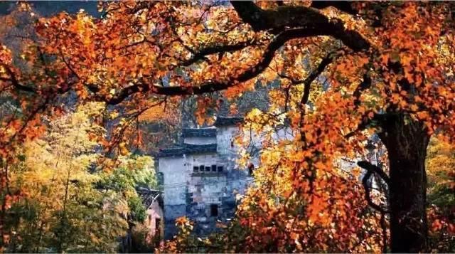 似梦徽州，总有一抹撩人的秋