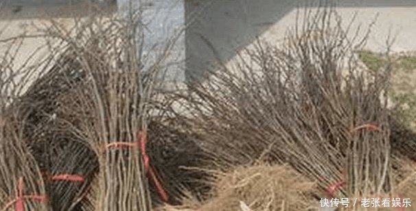 朝鲜农村像极了我们的80年代