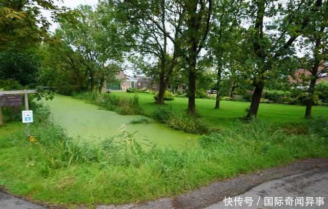 高度发达国家的农村风景——荷兰农村是这个样子的