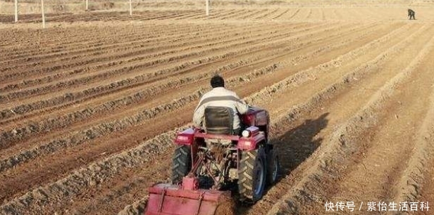  「土地确权」农村土地确权，是怎么个意思？20岁以下没土地的人