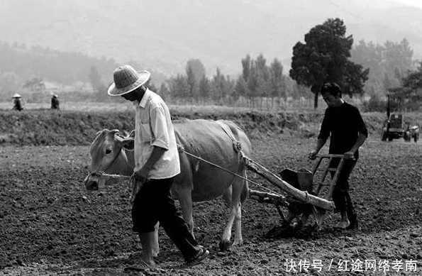  拍摄|外国人拍摄的70年代中国老照片想不到70年代的人们是这样子