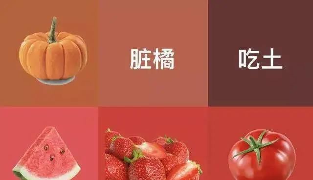  『适合』推荐几款适合日常素颜涂的口红,每一支都很好看,你值得拥有