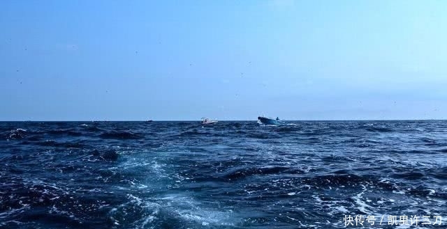  「海钓产业」海钓在中国并不火?那是你不知道沿海居民有多么爱海钓!