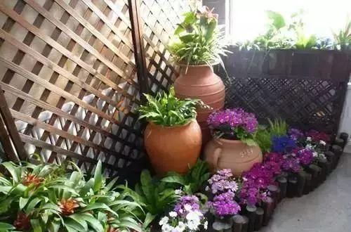  #花架#原来阳台还能这样种花，一看就像个花园，太漂亮了！
