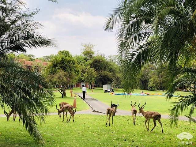 中国小伙来非洲旅游，看到当地村落，感觉自己住的酒店简直是天堂
