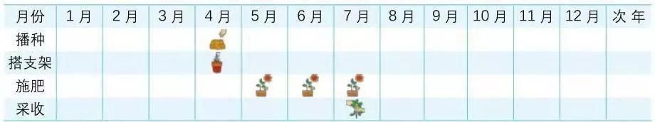  技巧：阳台“豆”菜乐园，将豆类盆栽蔬菜栽培技巧统统收集在此！