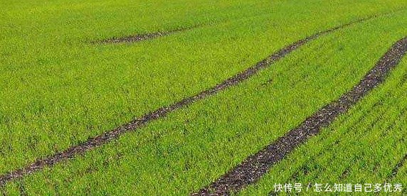 无地农民看过来，2027年能否重新分得土地终于有答案了！