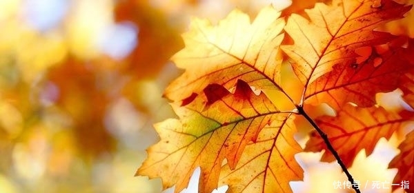  「思念」不是对方不知道你的思念，而是他知道却无所谓