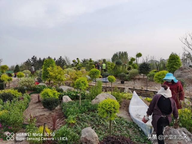  「迎接」迎接十四运 | 美景正在加载，花园浐灞敬请期待！