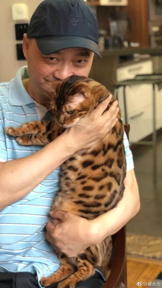 特大事件：崔永元整理出585名演员涉嫌偷税，娱乐圈或将大清洗